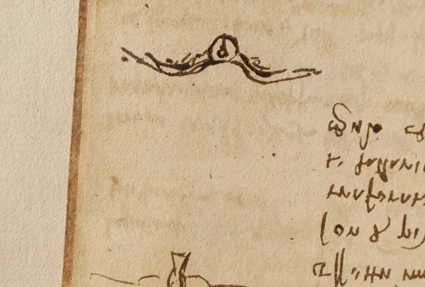 Manuskript Teckningar Fåglar Leonardo Vinci Den Gamla Boken Codice Sul — Stockfoto
