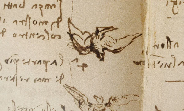 Рукопис Малюнки Політ Птахів Леонардо Вінчі Старій Книзі Кодиця Суль — стокове фото