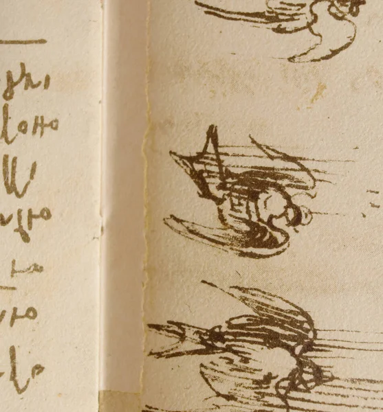 Rukopis Kresby Let Ptáků Leonarda Vinciho Staré Knize Codice Sul — Stock fotografie
