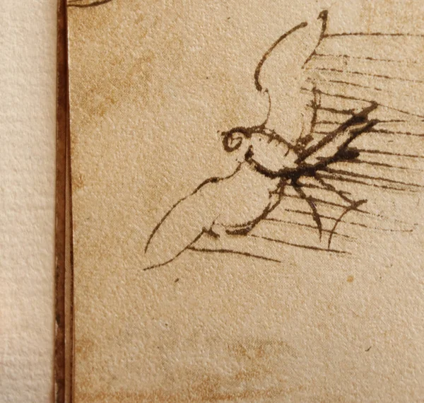 Manuscrito Desenhos Voo Pássaro Leonardo Vinci Livro Codice Sul Volo — Fotografia de Stock