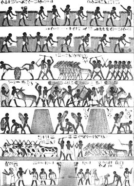 Antik Mısırlıların tarla çalışmaları. Eski bir kitap. The General History, by I.N.Borozdin.