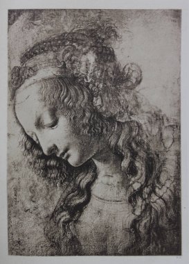 Leonard de Vinci, Eugene Muntz, 1899 'da Pari' de basılmış bir kitap.