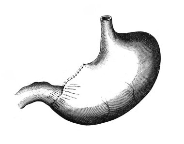 Tarihi bir resim, klasik kitaptan tarihi bir çizim. Siyah ve beyaz.