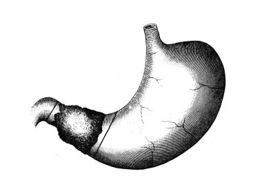 Tarihi bir resim, klasik kitaptan tarihi bir çizim. Siyah ve beyaz.
