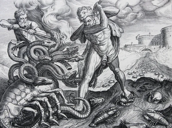 Herkules Killing Lernean Hydra Frans Floris Vyrytý Staré Knize Dějiny — Stock fotografie