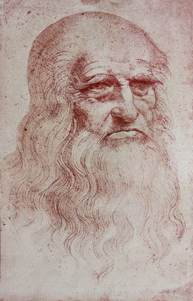 Una Ilustración Del Retrato Leonardo Vinci Libro Época Leonard Vinci —  Fotos de Stock