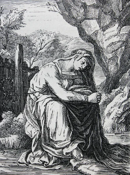 フランス人による女性フロリスは ヴィンテージ本に刻まれています画家の歴史 著者ジュールBenouard 1864 Paris — ストック写真