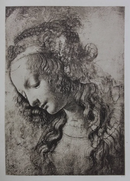 Голова Женщины Иллюстрированная Винтажной Книге Леонард Винчи Юджин Мунц 1899 — стоковое фото