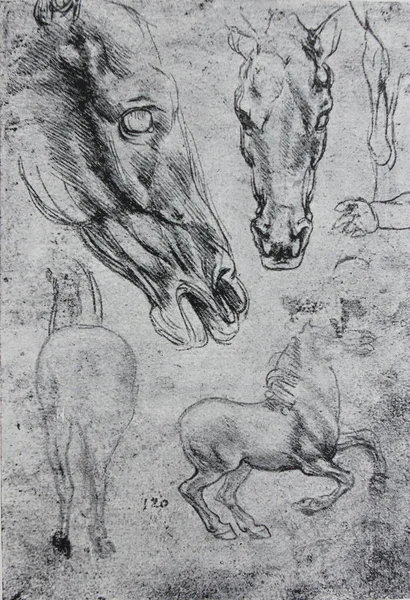 Σκίτσα Άλογα Του Λεονάρντο Ντα Βίντσι Χαραγμένα Ένα Vintage Βιβλίο — Φωτογραφία Αρχείου
