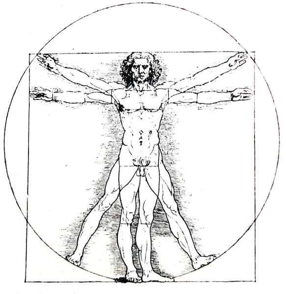 Vetruvian Human Measures Human Body Leonardo Vinci Illustrated Vintage Book — 스톡 사진
