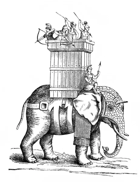 Elefante Guerra Época Romana Velho Livro História Cultura Lippert 1907 — Fotografia de Stock