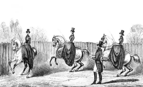 Auf Pferden Kreis Laufen Alten Buch Equitation Des Dames Von lizenzfreie Stockbilder