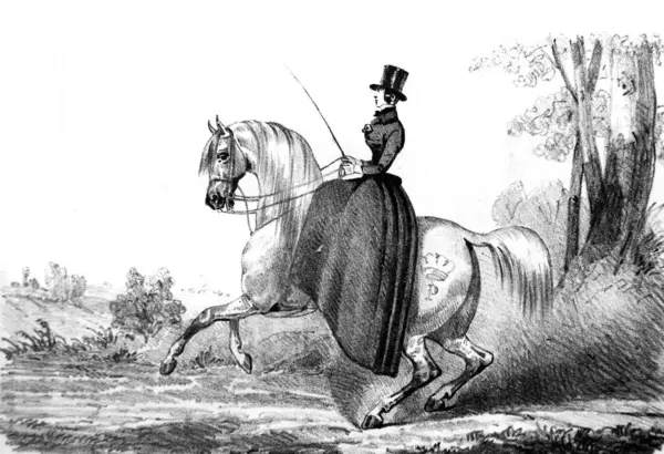 Reiter Alten Buch Equitation Des Dames Von Aubert 1842 Paris Stockbild