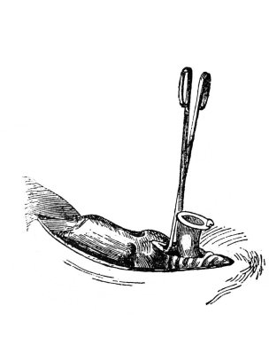 Eski Encyklopedya Medycyny kitabına tüp yerleştirme, Orgelbrand, vol. 17, 1890, Warszawa