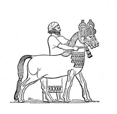 Fillion, 1883, Paris 'in Atlas de la Bible adlı eski kitabındaki Asurlu at koşumu.