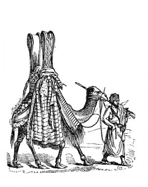 Fillion 'un eski kitabı Atlas de la Bible' deki başka bir tahtırevan türü, 1883, Paris