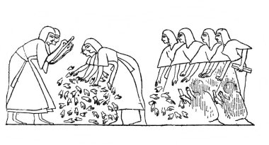 Fillion 'un eski kitabı Atlas de la Bible' da 1883 'te Paris' te yapılan savaştan sonraki düşman cesetlerini saymak.