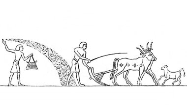 Mısırlılar, Atlas de la Bible 'ın eski kitabı Fillion, 1883, Paris' te bir tarla ekiyorlar.