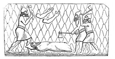 Fillion, 1883, Paris 'in Atlas de la Bible adlı eski kitabında parçalara ayrılıyor.