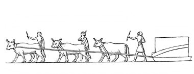 Fillion, 1883, Paris 'in Atlas de la Bible adlı eski kitabının yapı taşlarını taşıma prosedürü