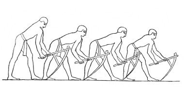 Mısırlılar, Atlas de la Bible 'da 1883' te Paris 'te yazılmış eski bir kitaptaki çapayla tarlayı sürerler.