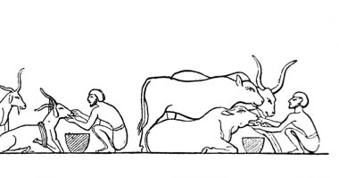 Çobanlar sürülerini Fillion, 1883, Paris 'teki Atlas de la Bible adlı eski kitapta görüyorlar.