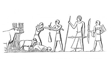 Çiftlik hayvanları müfettişi (Antik Mısır) Fillion 'un eski kitabı Atlas de la Bible, 1883, Paris