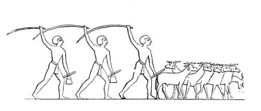 Keçiler, Fillion 'un eski kitabı Atlas de la Bible' da yeni ekilmiş bir tarlayı çiğniyor. 1883, Paris.