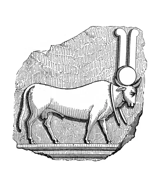 stock image Bull Azis in the old book Atlas de la Bible by Fillion, 1883, Paris