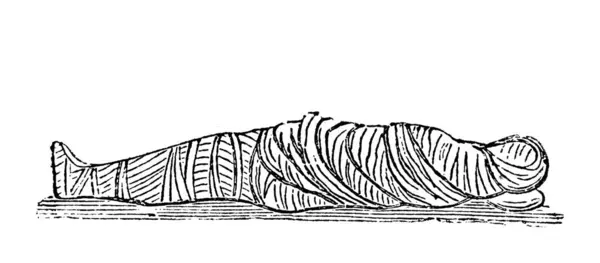 stock image Mummy wrapped in shrouds  in the old book Atlas de la Bible by Fillion, 1883, Paris