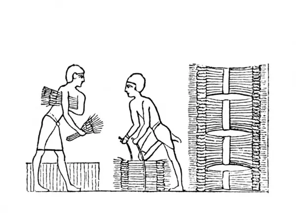 İşçiler, Fillion, 1883, Paris 'in Atlas de la Bible adlı eski kitabında demetler örerler.