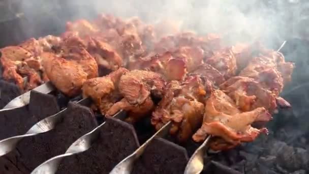Meat Cooked Skewers Mangal Delicious Grilled Food Pork Cooked Fire — Stock Video