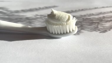 Diş macunlu bir diş fırçası bir filizin önünde beyaz bir arkaplanda izole edilmiş..