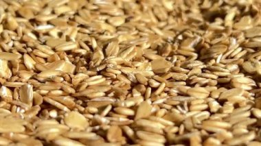 Pişmemiş yulaf ezmesi dokusu yakından görünür. Makro atış. Gastronomi kavramı.