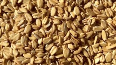 Pişmemiş yulaf ezmesi dokusu yakından görünür. Makro atış. Gastronomi kavramı.