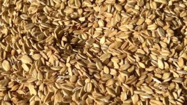 Pişmemiş yulaf ezmesi dokusu yakından görünür. Makro atış. Gastronomi kavramı.