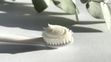 Diş macunlu bir diş fırçası okaliptüs filizinin önünde beyaz bir arkaplanda izole edilmiş..