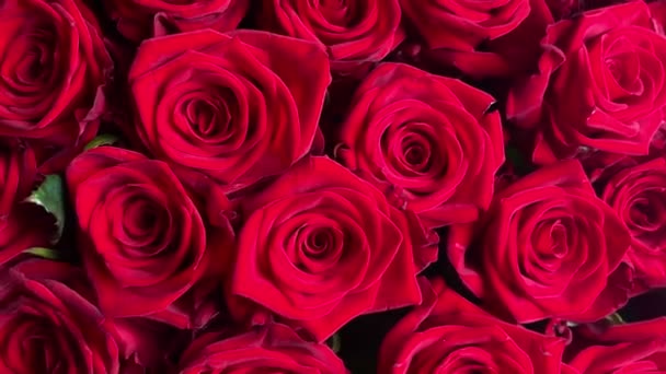 Close Buquê Rosas Vermelhas — Vídeo de Stock