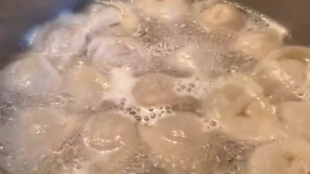 Närbild Matlagning Dumplings Kokande Vatten — Stockvideo