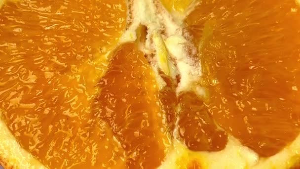 Макро Знімок Апельсинового Фрукта Крупним Планом Целюлози Апельсина — стокове відео