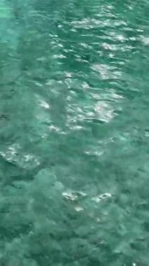 Kıbrıs Rum Kesimi 'nin Ayia Napa kentinin kristal berrak turkuaz sularında güneş ışığı yüzeye yansıyor. Akdeniz 'in dingin manzarası canlı ve ferahlatıcı rengini gözler önüne seriyor..