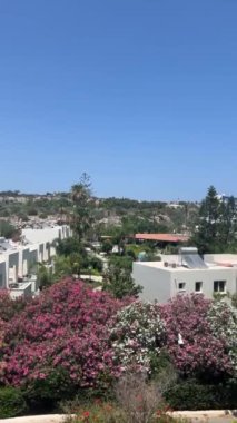 Ayia Napa, Kıbrıs - 6 Haziran 2023: Kıbrıs Rum Kesimi 'nin Ayia Napa kentindeki bir otelden manzara, beyaz binalar, çiçek açan bahçeler, yeşil palmiye ağaçları ve parlak mavi bir gökyüzünün altında manzaralı bir tepe.