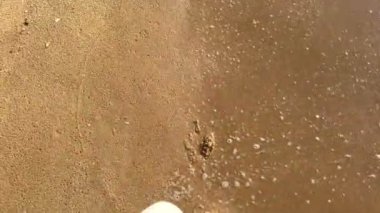 Çıplak ayaklı dişi bacaklar, deniz suyuyla kaplanmış kum dokusunda izole edilmiş..