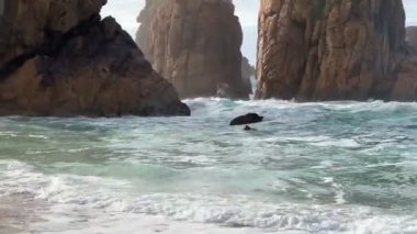 Portekiz 'in Atlantik Okyanusu kıyısındaki Cape Roca (Cabo da Roca) yakınlarında Ursa plajı. Kayaların arasındaki kumsal. Yaz manzarası.