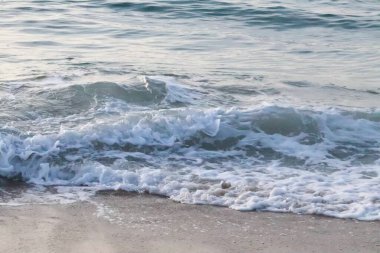 Bulgaristan 'ın Varna kenti yakınlarındaki Karadeniz kıyı şeridi. Deniz dalgaları yakın çekim. Gün doğumu zamanı.