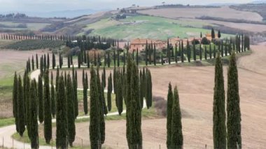 Toskana, İtalya - 24 Kasım 2024: Tuscany 'deki Tgriturismo Baccoleno çiftliğine bakın. Arka planda Val d 'Orcia tepeleri olan Asciano' daki selvi ağaçları ve beyaz çakıl yollarıyla ünlü bir yer.