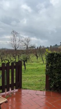 Toscanizzazione Oteli yakınlarındaki Toscancan kırsalındaki üzüm bağında kayan tepeler ve sisli bir manzaraya karşı sıralanmış üzüm bağları sergileniyor. İtalyan şarap kültürü.