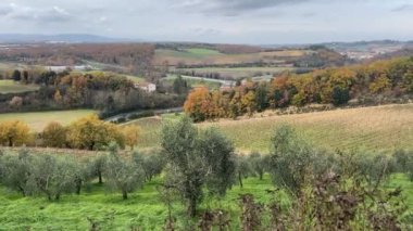 Monteriggioni, Toskana, İtalya 'da bir yamaçta teraslı bir üzüm bağı. Sahnede sıra sıra üzüm bağları, zeytin ağaçları ve renkli sonbahar ağaçları görülüyor. Toskana kırsalının barışçıl manzarası.
