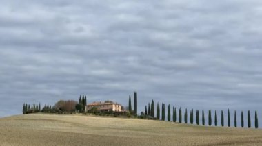 Castiglione d 'Orcia, İtalya - 25 Kasım 2024: Poggio Covilli çiftlik evinin selvi yolu ile Idyllic Toskana manzarası. Vale di Cipressi. Sonbahar mevsimi. 