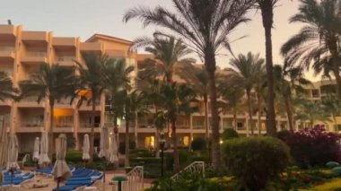 Hurghada, Mısır - 11 Kasım 2024: Tropik palmiye ağaçları ve geceleri yüzme havuzu olan otel, Hurghada, Mısır.